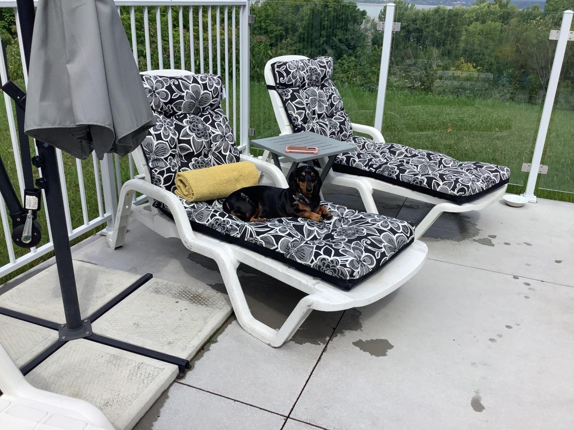Les Saisons Du Fleuve Bed & Breakfast Lotbiniere Exterior photo